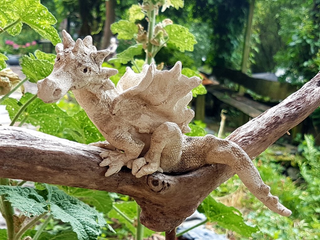 Unser kleiner Drache beschützt uns Unser kleiner Drache beschützt uns